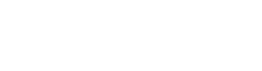 Black Forest Labs